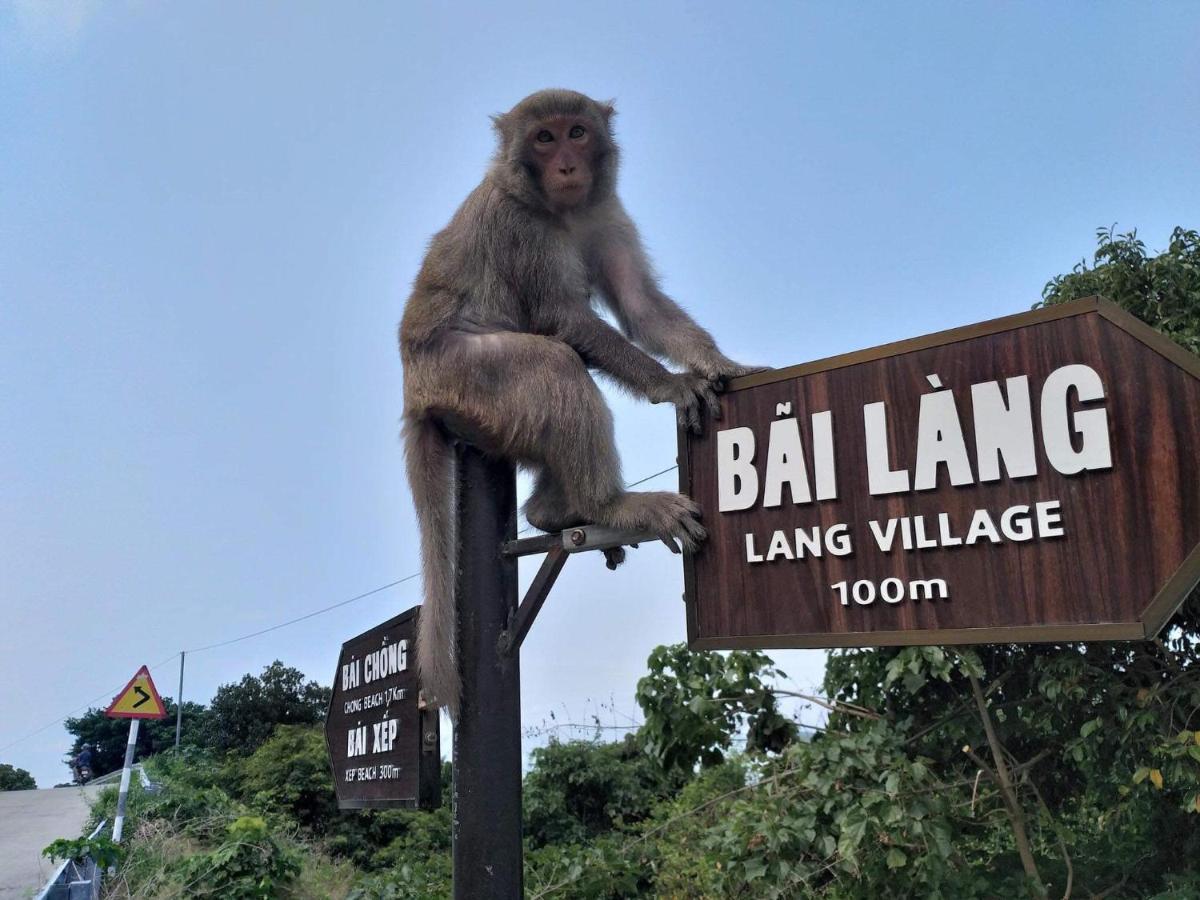 Monkeyland Cham Island Homestay Tân Hiệ Exteriér fotografie